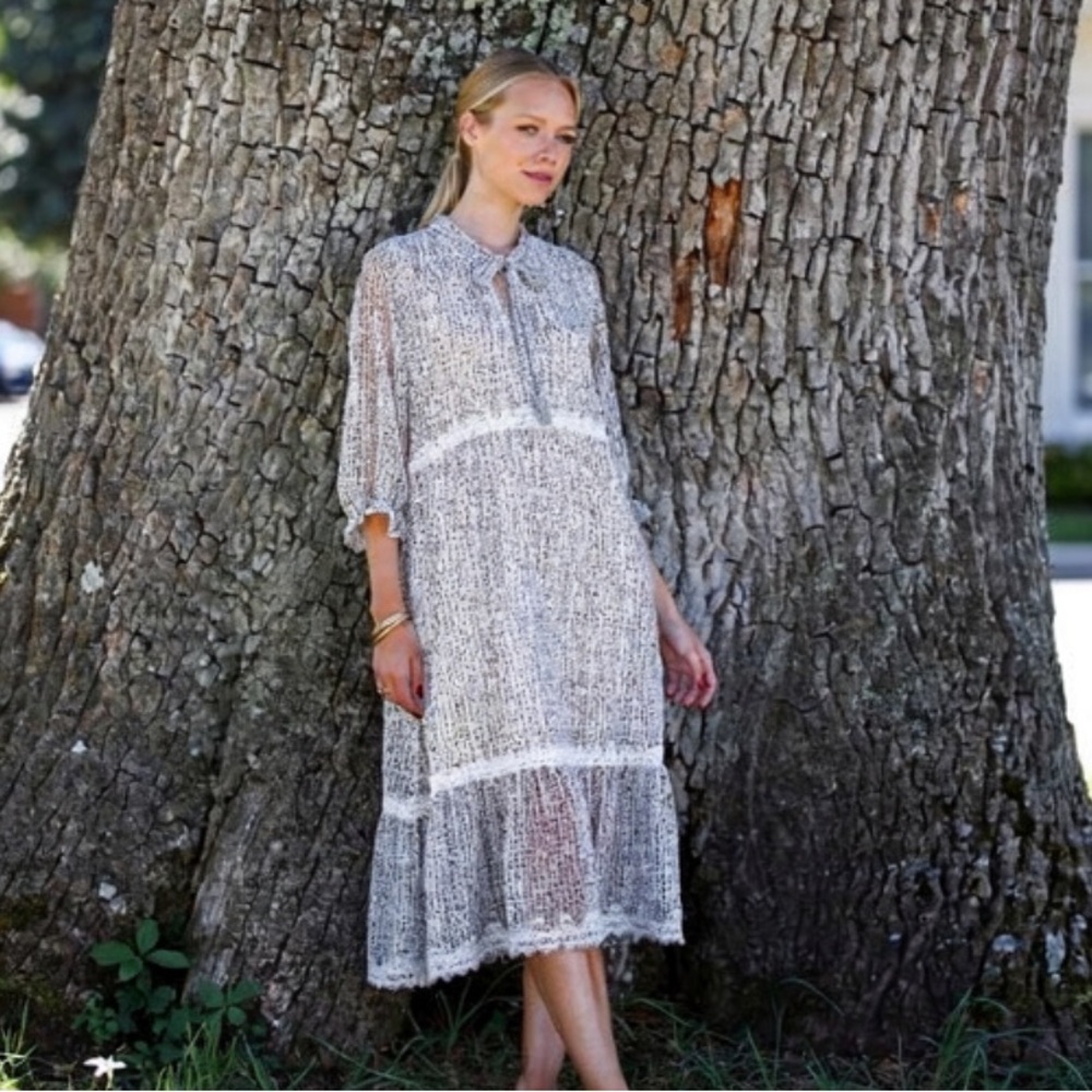 POL Chic Sheer Tansy At The Park Midi Dress